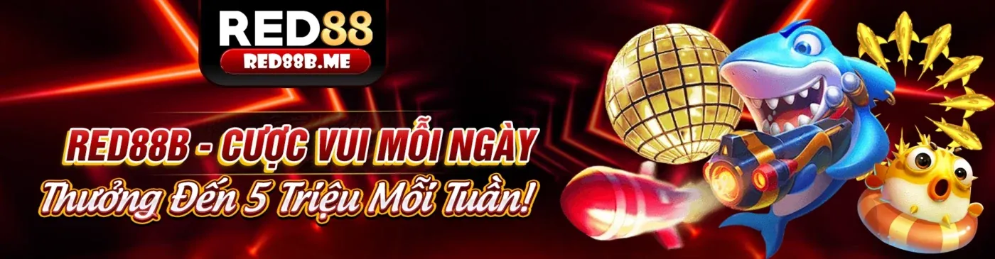 Tổng quan nền tảng i888 với các loại hình giải trí đa dạng